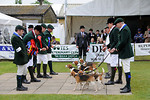 South of England Show - June 2010 portfolio