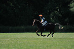 Rackham Horse Trials - June 2010 portfolio