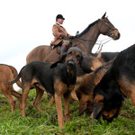 Coakham Bloodhounds, Iden Park - January 2011 portfolio
