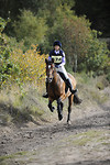 Tweseldown Horse Trials - October 2009 portfolio